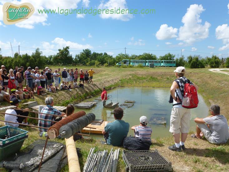 Führung Cité de l'Huître in Marennes in der Nähe von Laguna Lodge Résidence am Atlantikküste Frankreich