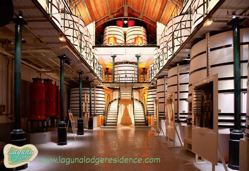 Keller Maison Remy Martin in der Nähe von Laguna Lodge Résidence am Atlantikküste Frankreich