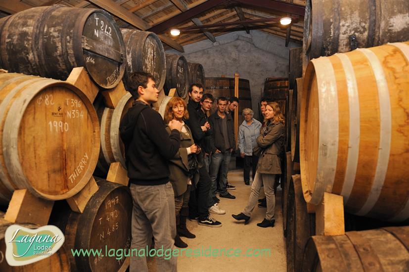 Domaines des claires Cognac und Pineau in der Nähe von Laguna Lodge Résidence am Atlantikküste Frankreich
