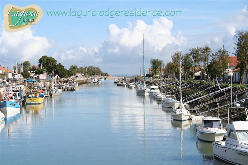 Hafen von Boyardville, Île d'Oléron, Atlantikküste Frankreich