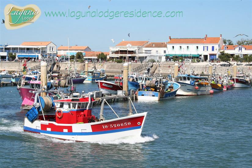 Hafen von La Cotinière - Île d'Oléron in Frankreich - Atlantikküste