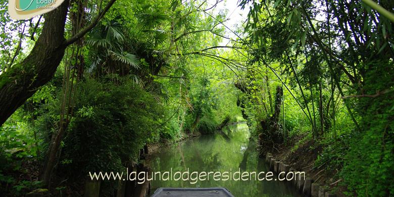 Besuchen Sie die Marais Poitevin - Atlantikküste - Frankreich