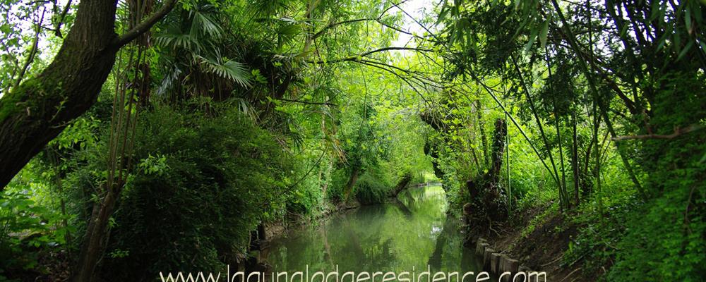 Besuchen Sie die Marais Poitevin - Atlantikküste - Frankreich