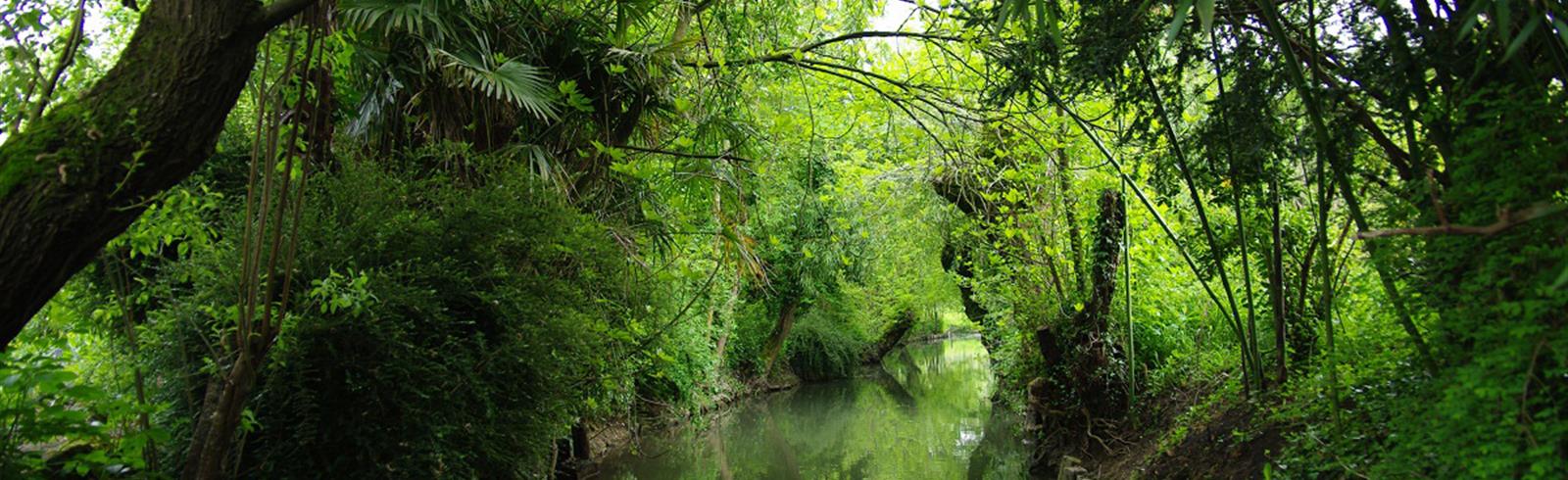 Besuchen Sie die Marais Poitevin - Atlantikküste - Frankreich