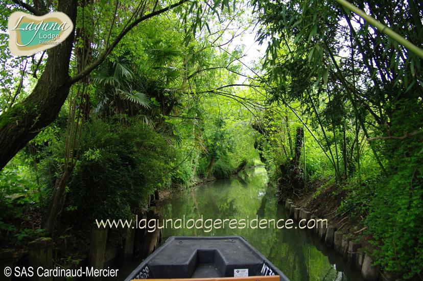 Besuchen Sie die Marais Poitevin - Atlantikküste - Frankreich