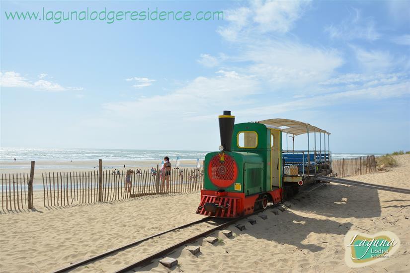 Petit Train von Saint-Trojan - Île d'Oléron - Frankreich
