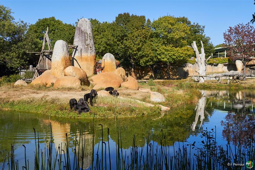 Großer Affenbereich Zoo de La Palmyre in der Nähe von Laguna Lodge Résidence